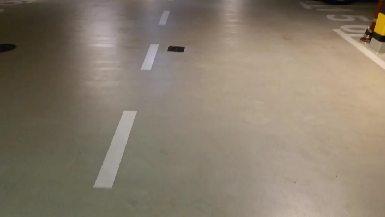 XES Victoria Pears BTS POLISH XXX